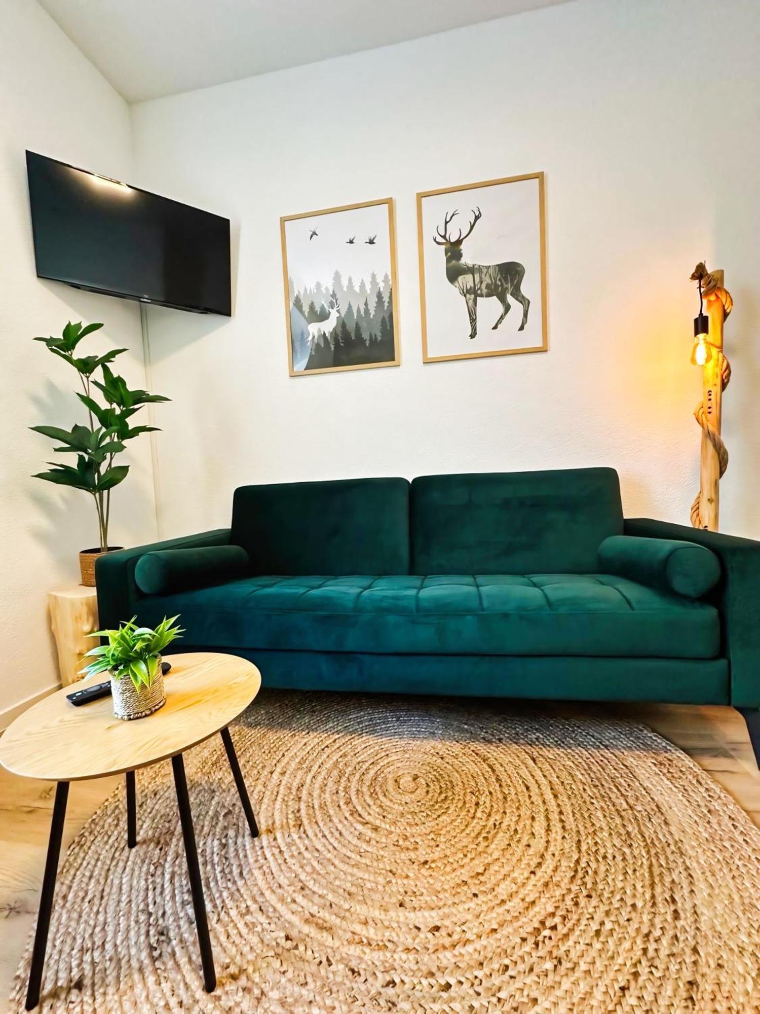Apartment Schwarzwaldgefluester Гернсбах Экстерьер фото